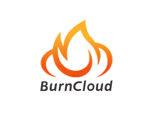 Burncloud Admin
